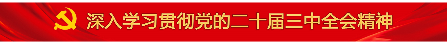 深入學習貫徹黨的二十屆三中全會精神 深入學習貫徹黨的二十屆三中全會精神